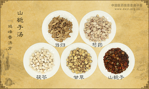山栀子汤《鸡峰普济方》卷十八