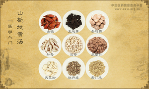 山栀地黄汤《医学入门》