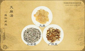 天麻汤《服科阐微》