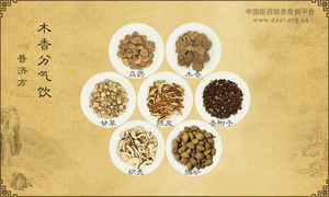 木香分气饮《普济方》