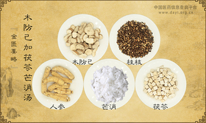 木防己加茯苓芒消汤《金匮要略》
