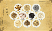 王不留行汤《古今医彻》
