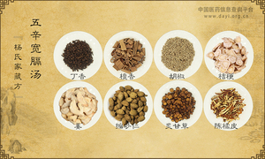 五辛宽膈汤