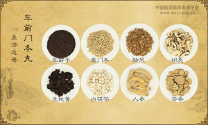 车前门冬丸