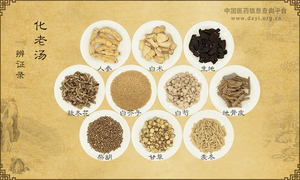 化老汤《辨证录》