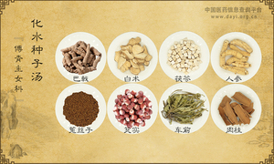 化水种子汤