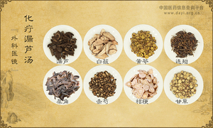 化疔漏芦汤《外科医镜》