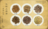 化积止痢汤《疡医大全》