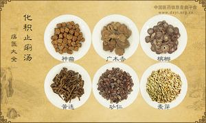 化积止痢汤《疡医大全》