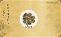 化痰生津噙化丸