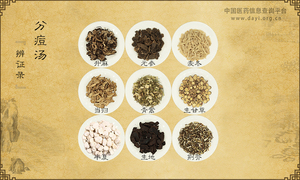 分痘汤《辨证录》