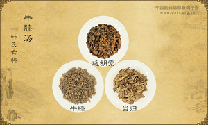 牛膝汤《叶氏女科》