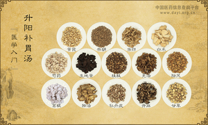 升阳补胃汤《医学入门》卷三