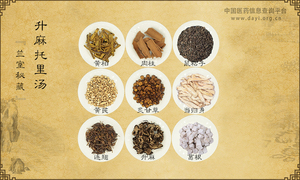 升麻托里汤《兰室秘藏》