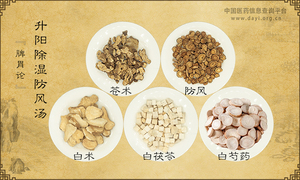升阳除湿防风汤