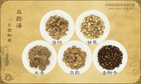 乌药汤《兰室秘藏》卷中