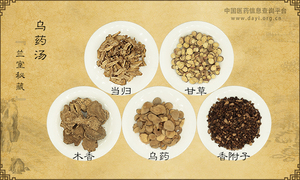 乌药汤《兰室秘藏》卷中