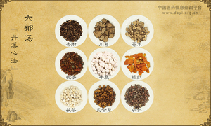 六郁汤《丹溪心法》