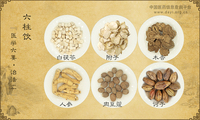 六柱饮《医学六要·治法汇》