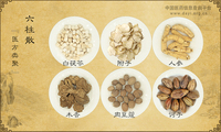 六柱散《医方类聚》