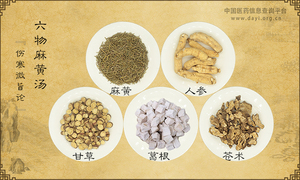 六物麻黄汤《伤寒微旨论》