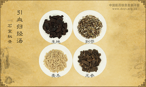 引血归经汤