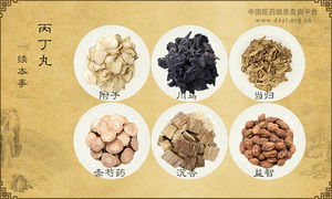 丙丁丸