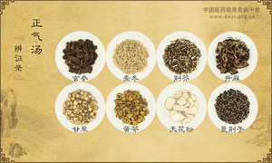 正气汤《辨证录》卷五