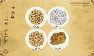 甘草散《三因极一病证方论》