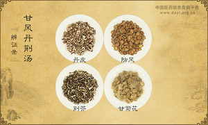 甘风丹荆汤《辨证录》