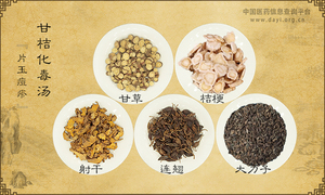 甘桔化毒汤《片玉痘疹》