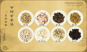 甘桔玄参汤《医学启蒙》