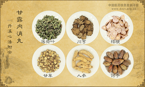 甘露内消丸《丹溪心法附余》