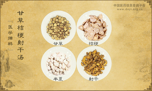 甘草桔梗射干汤《医学摘粹》