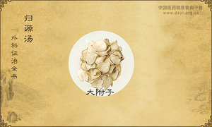 归源汤