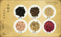 生髓丹《医学集成》