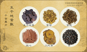 生干地黄散《千金翼方》