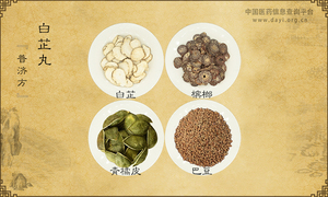 白芷丸《普济方》