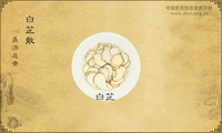 白芷散《圣济总录》卷九十八