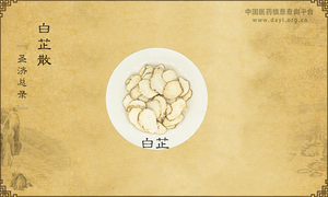 白芷散《圣济总录》卷九十八