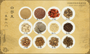 白芥丸《医学入门》