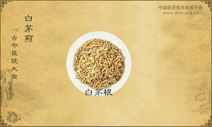 白茅煎