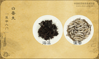 白蚕丸《医学入门》