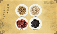 白芍药丸《鸡峰普济方》