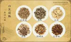 白豆蔻散《圣济总录》