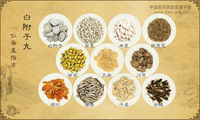 白附子丸《仁斋直指方》