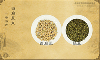 白扁豆丸
