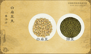 白扁豆丸