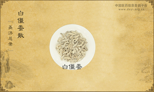 白僵蚕散《圣济总录》