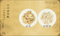 白术茯苓散《鸡峰普济方》